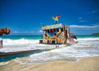 Where to Watch Sea Turtles Hatch: Beaches for an Unforgettable Experience