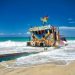 Where to Watch Sea Turtles Hatch: Beaches for an Unforgettable Experience