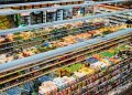 Balancing a High-Protein Diet for Optimal Health Balancing a High-Protein Diet for Optimal Health