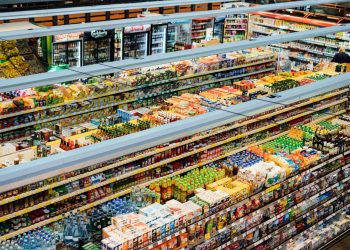Balancing a High-Protein Diet for Optimal Health