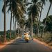 The Impact of Local Art on Travel Experiences