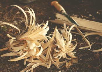 Embracing Slow Living: A Guide to Starting Your Journey