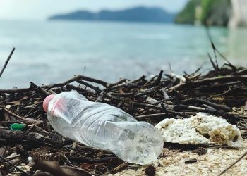 How to Organize a Beach Clean-Up Event