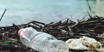 How to Organize a Beach Clean-Up Event