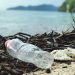 How to Organize a Beach Clean-Up Event How to Organize a Beach Clean-Up Event