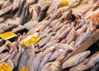 Why You Shouldn’t Fear Healthy Fats: Embracing Fats for Better Health